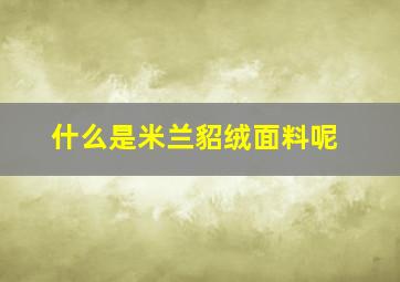 什么是米兰貂绒面料呢