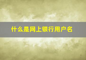 什么是网上银行用户名