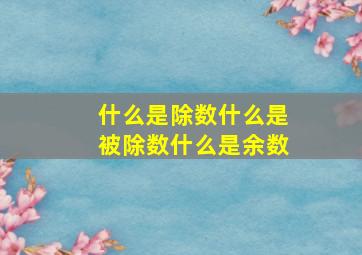 什么是除数什么是被除数什么是余数