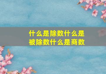 什么是除数什么是被除数什么是商数