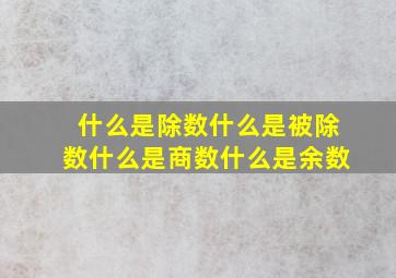 什么是除数什么是被除数什么是商数什么是余数