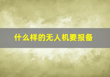 什么样的无人机要报备