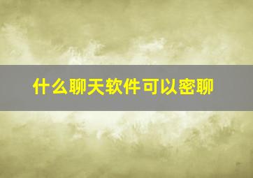 什么聊天软件可以密聊