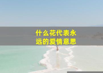 什么花代表永远的爱情意思