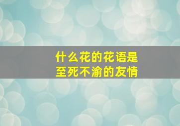 什么花的花语是至死不渝的友情