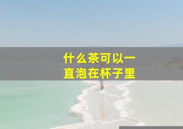 什么茶可以一直泡在杯子里