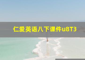 仁爱英语八下课件u8T3