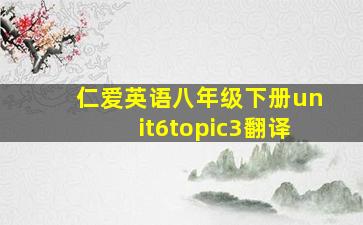 仁爱英语八年级下册unit6topic3翻译