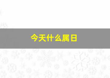 今天什么属日