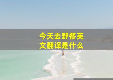 今天去野餐英文翻译是什么