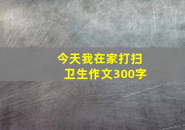 今天我在家打扫卫生作文300字