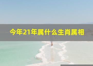 今年21年属什么生肖属相