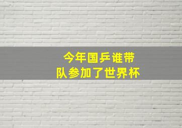 今年国乒谁带队参加了世界杯