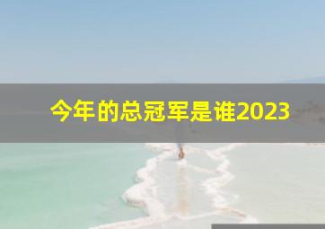 今年的总冠军是谁2023