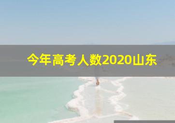 今年高考人数2020山东