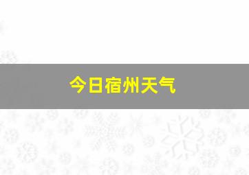 今日宿州天气