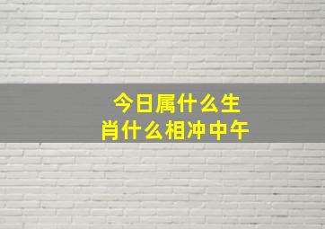 今日属什么生肖什么相冲中午