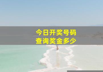 今日开奖号码查询奖金多少