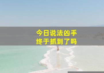 今日说法凶手终于抓到了吗