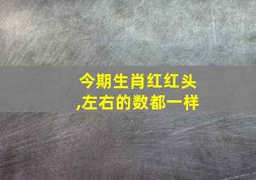 今期生肖红红头,左右的数都一样