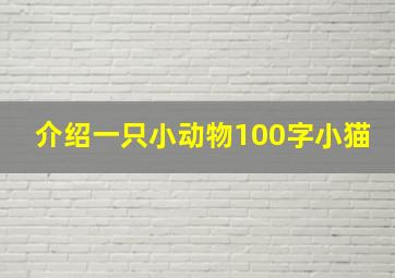 介绍一只小动物100字小猫