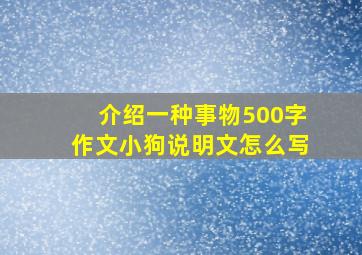 介绍一种事物500字作文小狗说明文怎么写