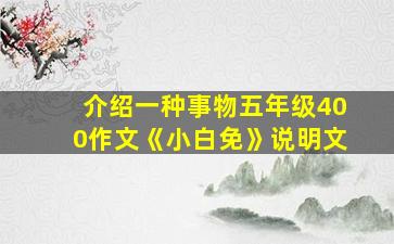 介绍一种事物五年级400作文《小白免》说明文