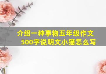 介绍一种事物五年级作文500字说明文小猫怎么写