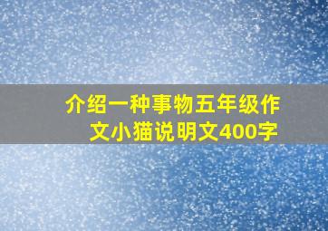 介绍一种事物五年级作文小猫说明文400字