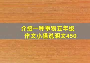 介绍一种事物五年级作文小猫说明文450