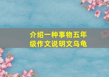 介绍一种事物五年级作文说明文乌龟