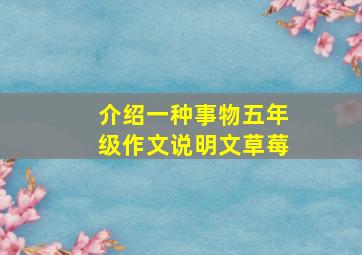 介绍一种事物五年级作文说明文草莓