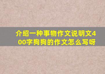 介绍一种事物作文说明文400字狗狗的作文怎么写呀