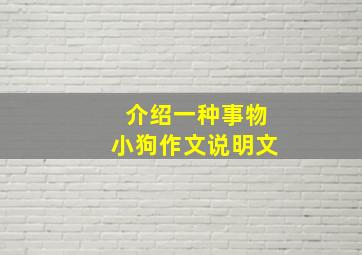 介绍一种事物小狗作文说明文