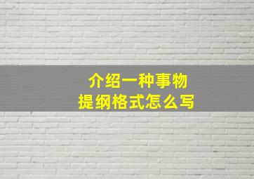 介绍一种事物提纲格式怎么写