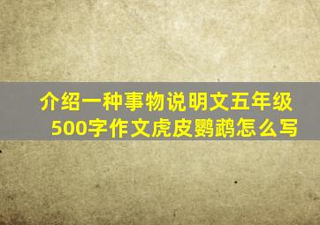 介绍一种事物说明文五年级500字作文虎皮鹦鹉怎么写