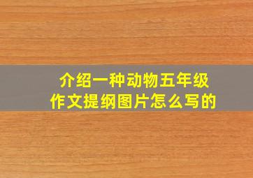 介绍一种动物五年级作文提纲图片怎么写的