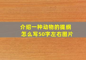 介绍一种动物的提纲怎么写50字左右图片