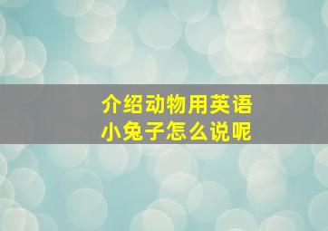 介绍动物用英语小兔子怎么说呢