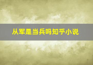 从军是当兵吗知乎小说