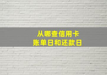 从哪查信用卡账单日和还款日