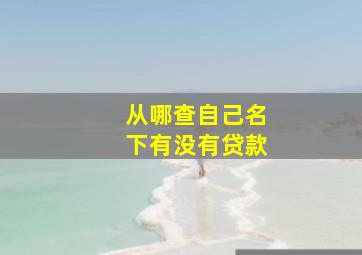 从哪查自己名下有没有贷款