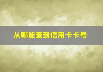 从哪能查到信用卡卡号