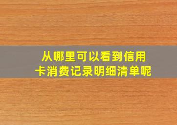 从哪里可以看到信用卡消费记录明细清单呢