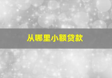 从哪里小额贷款