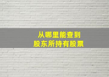 从哪里能查到股东所持有股票