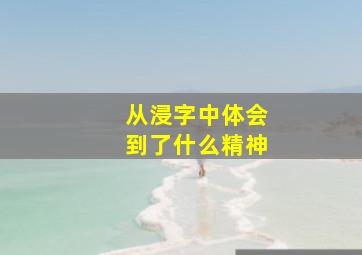 从浸字中体会到了什么精神