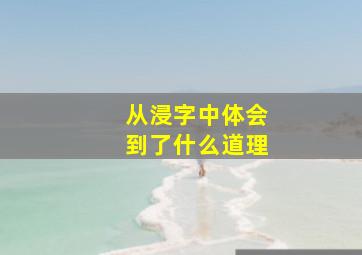 从浸字中体会到了什么道理