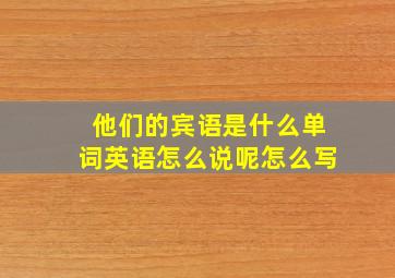 他们的宾语是什么单词英语怎么说呢怎么写