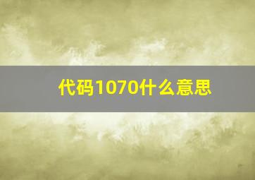 代码1070什么意思